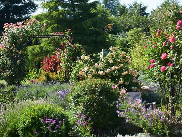 Inverness Botanical Gardens